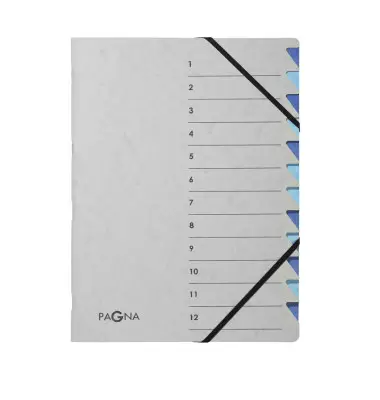 PAGNA Ordnungsmappe "Easy Grey", A4, 12 Fächer, grau / blau (EAN: 4013951014510)