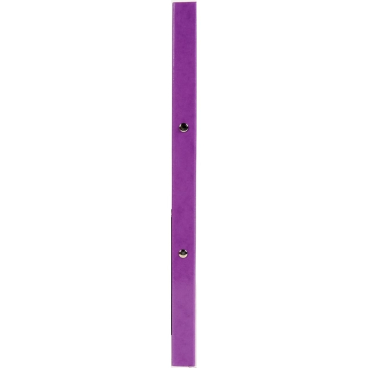 EXACOMPTA Ringbuch Iderama, 2-Ring-Mechanik, A4, violett (EAN: 3130630548966)