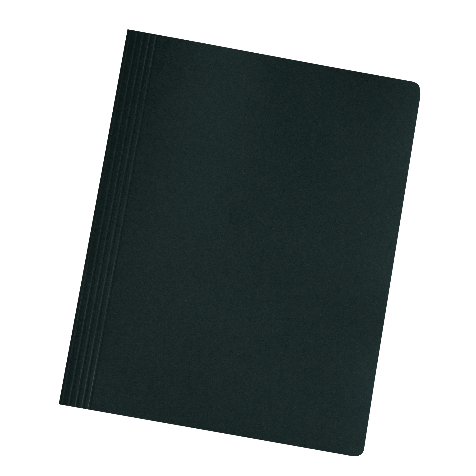herlitz Schnellhefter easyorga, DIN A4, Manilakarton,schwarz (EAN: 4008110409405)