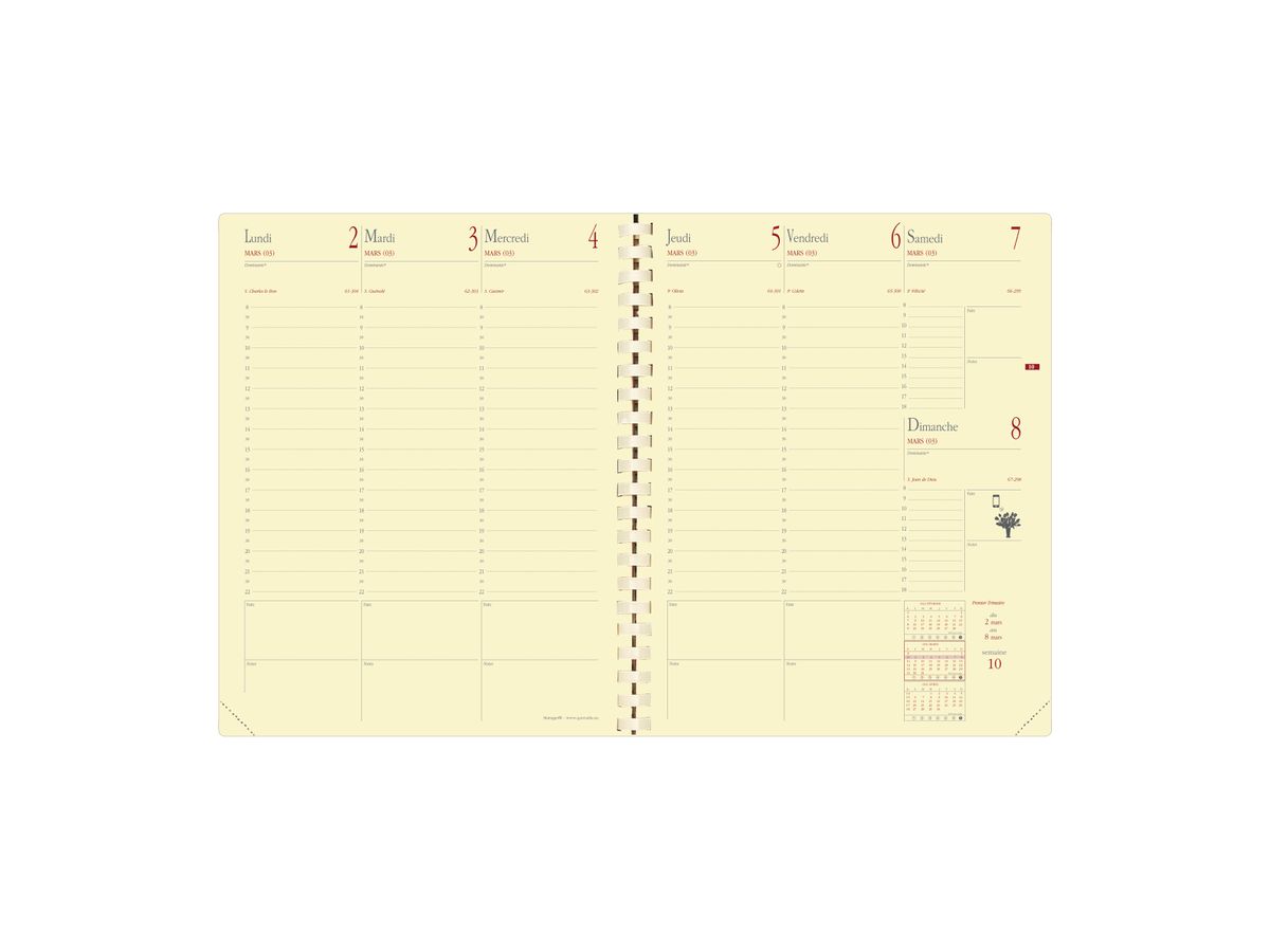 QUO VADIS Recharge pour agenda "Manager S Prestige", 2027 (EAN: 3371010140329)