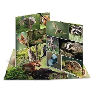 HERMA Eckspannermappe "Waldtiere", Karton, DIN A4 (EAN: 4008705193412)