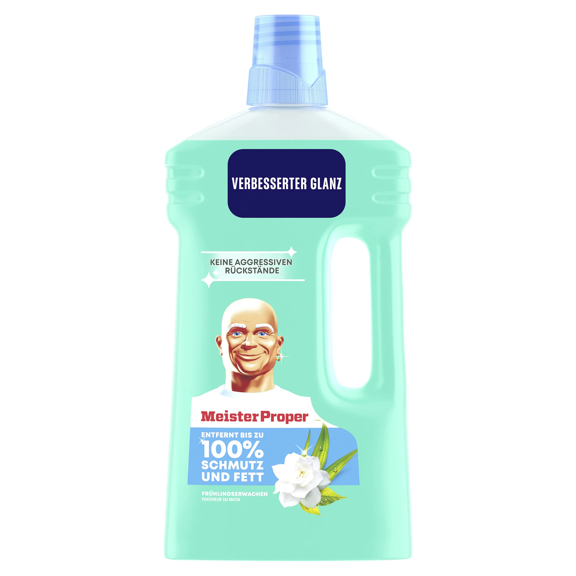 Meister Proper Allzweckreiniger, 1 l, Frühlingserwachen (EAN: 8700216624688)