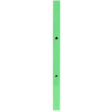 EXACOMPTA Ringbuch Iderama, 2-Ring-Mechanik, A4, anisgrün (EAN: 3130630548935)