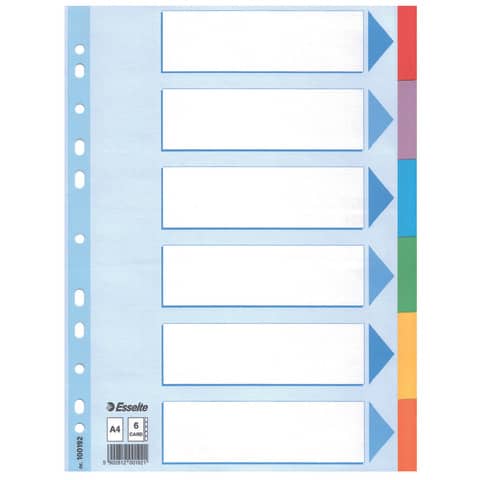 Esselte Karton-Register, blanko, A4, 6-teilig, mehrfarbig (EAN: 5902812001921)