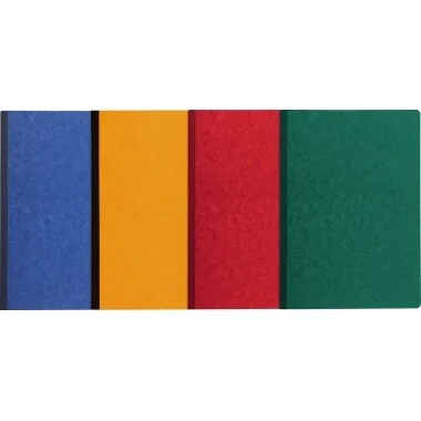 EXACOMPTA Spaltenbuch DIN A4, 10 Spalten auf 2 Seiten, grün (EAN: 3130632171001)