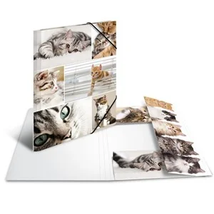 HERMA Eckspannermappe "Katzen", aus Karton, DIN A4 (EAN: 4008705192125)