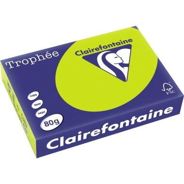 Clairefontaine Multifunktionspapier Trophée, A4, neongrün (EAN: 3329680297508)