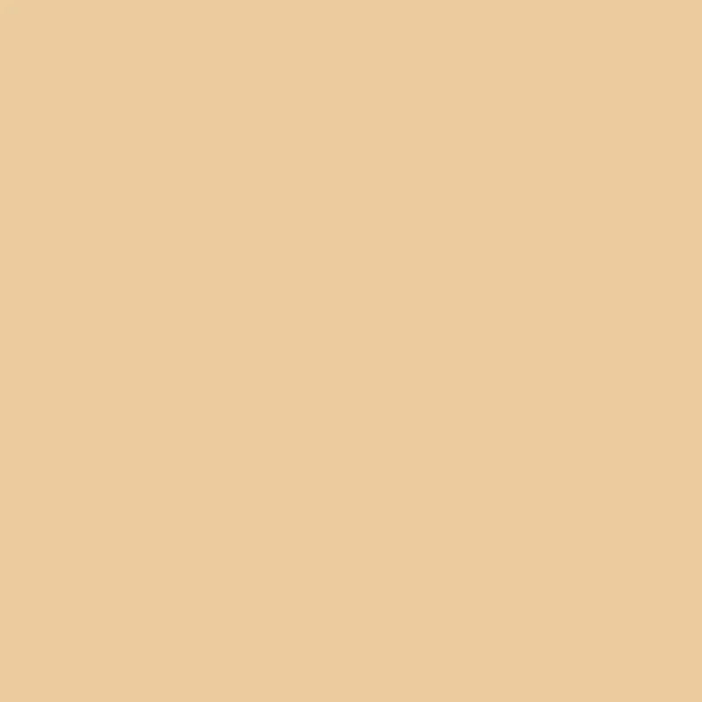 folia Tonpapier, (B)500 x (H)700 mm, 130 g/qm, chamois (EAN: 4001868067101)
