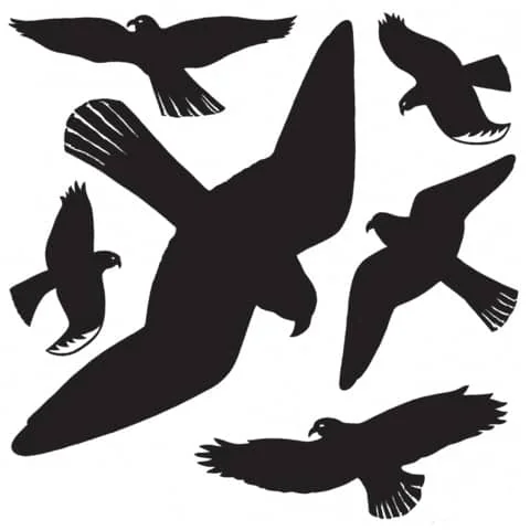 HERMA Etiketten "Warnvögel", Folie, wetterfest, schwarz (EAN: 4008705059992)