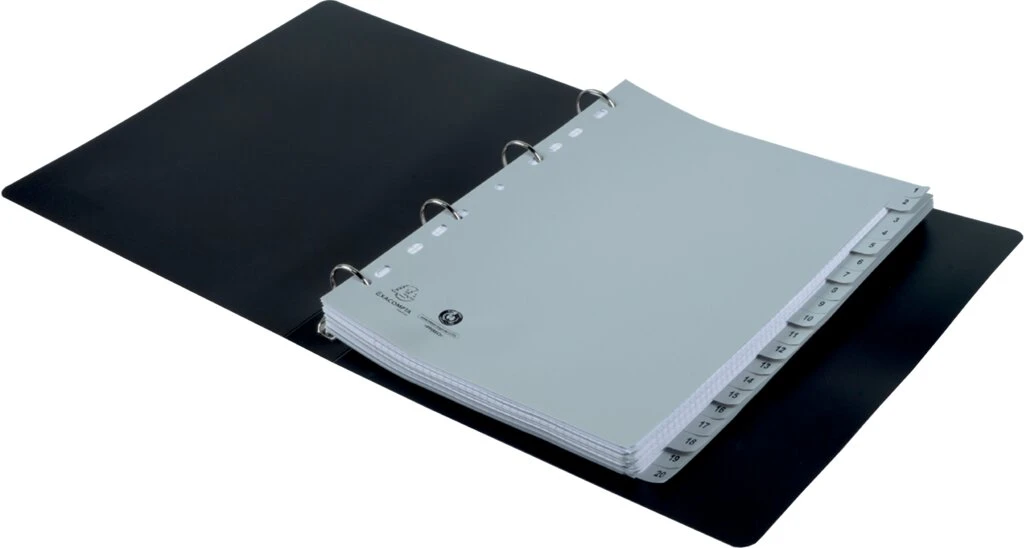 EXACOMPTA Kunststoff-Register, Zahlen, A4, 20-teilig (EAN: 3130630017219)