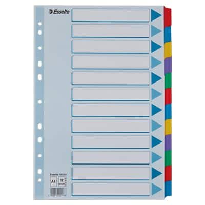 Esselte Karton-Register, blanko, A4, 12-teilig, mehrfarbig (EAN: 5902812221466)