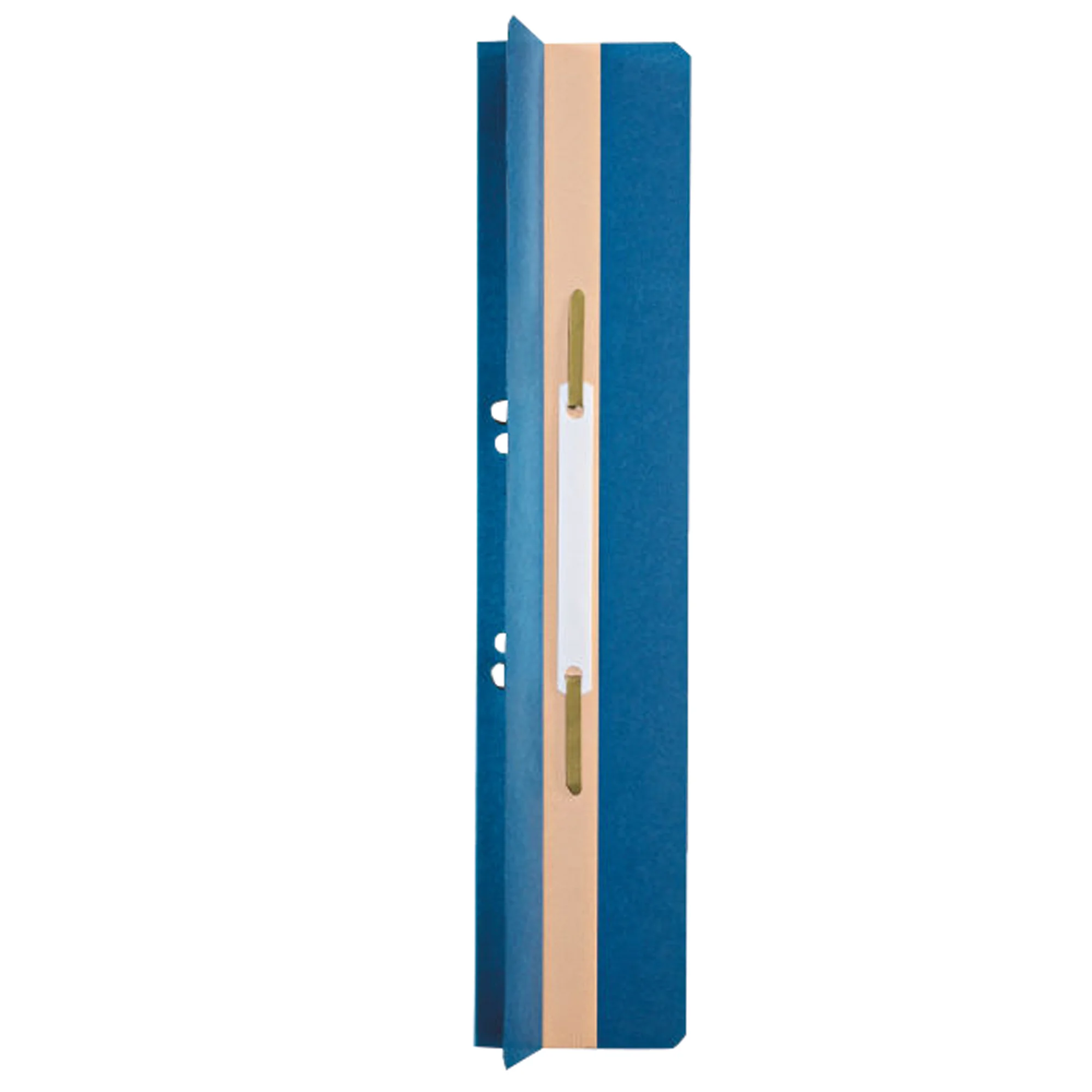 LEITZ Heftrücken, 65 x 305 mm, Manilakarton, blau, mit (EAN: 4002432306732)