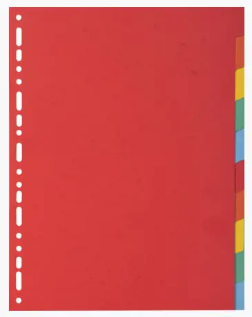 EXACOMPTA Karton-Register, DIN A4, 10-teilig (EAN: 3130630020103)