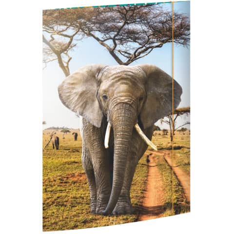 RNK Verlag Zeichnungsmappe "Elefant", DIN A3 (EAN: 4002871453776)