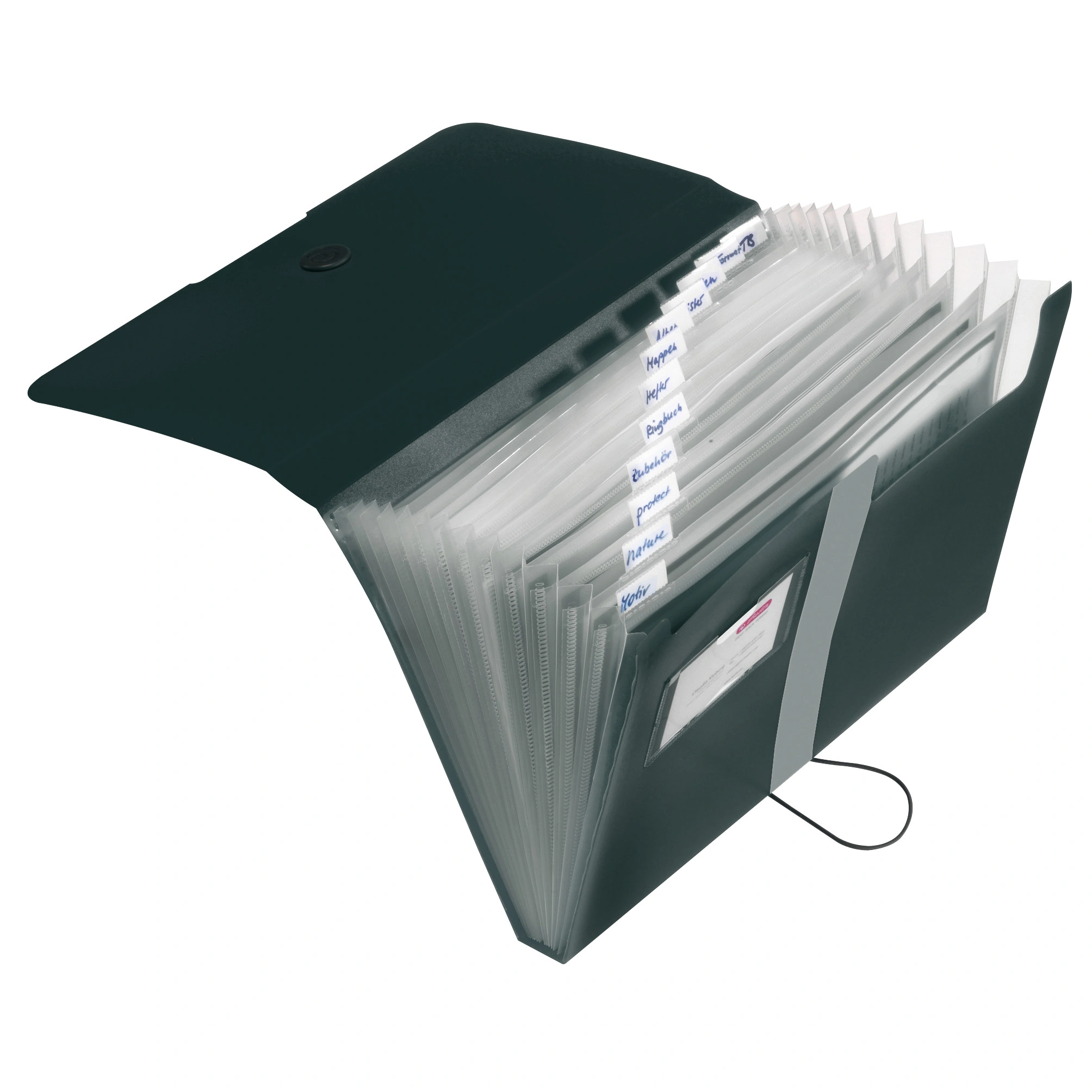 herlitz Fächermappe easy orga to go, 12 Fächer, schwarz (EAN: 4008110434469)