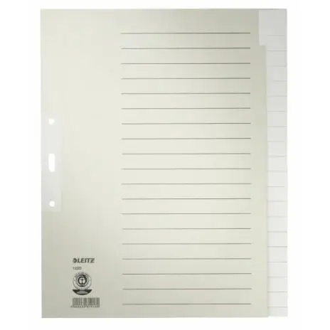 LEITZ Tauenpapier-Register, blanko, A4 Überbreite, 20-teilig (EAN: 4002432319169)