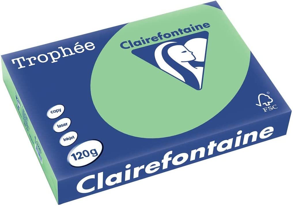 Clairefontaine Multifunktionspapier Trophée, A4, naturgrün (EAN: 3329680122800)