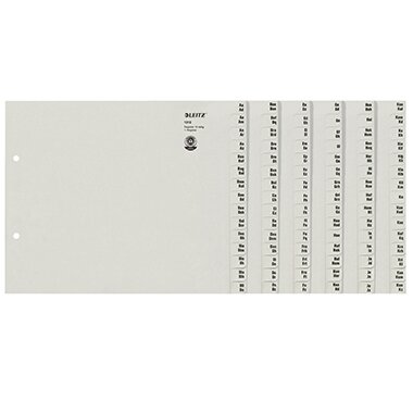 LEITZ Tauenpapier-Register, A-Z, für 12 Ordner, grau (EAN: 4002432328512)