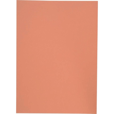 ELBA Aktendeckel, DIN A4, Manilakarton, ohne Druck, orange (EAN: 4002030050846)