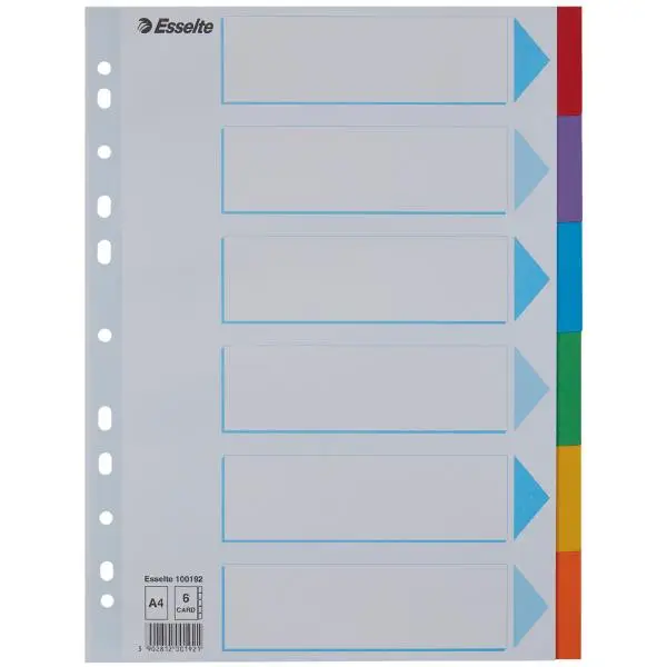 Esselte Karton-Register, blanko, A4, 10-teilig, mehrfarbig (EAN: 5902812001938)