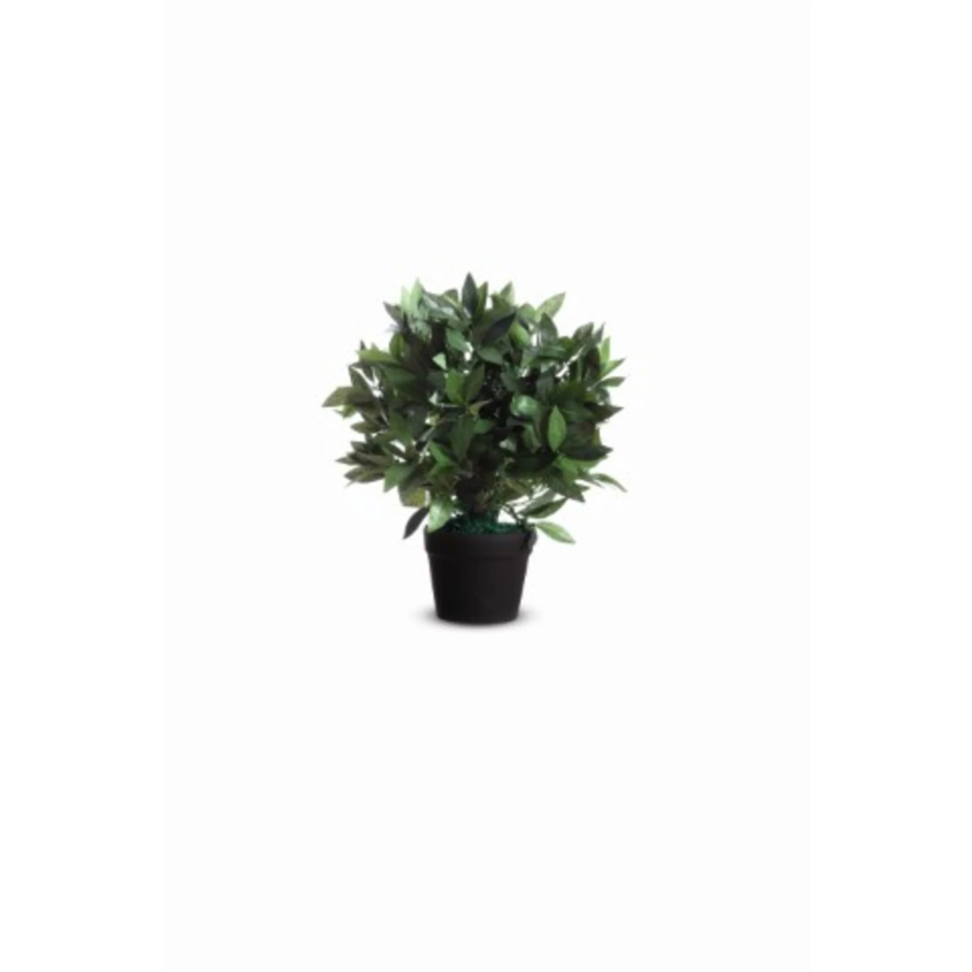 PAPERFLOW Kunstpflanze "Lorbeerbaum", Höhe: 500 mm (EAN: 3660141290097)