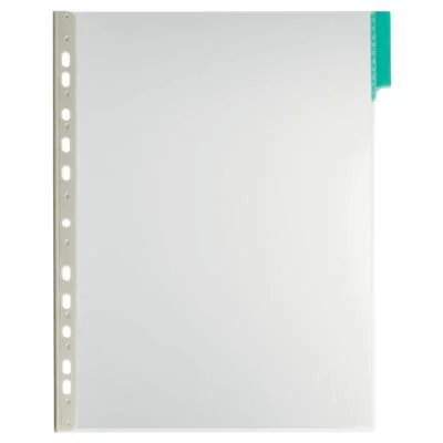 DURABLE Sichttafel FUNCTION, DIN A4, transparent, Tab: grün (EAN: 4005546571300)