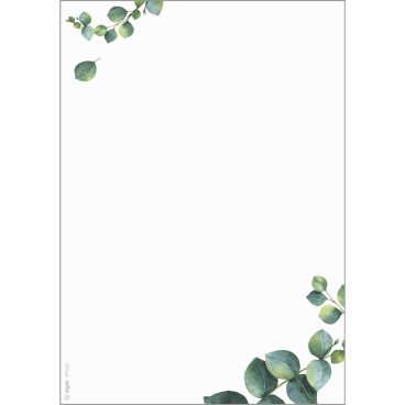 sigel Design-Papier "Eucalyptus", DIN A5, 90 g/qm (EAN: 4004360770791)