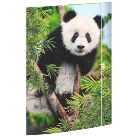 RNK Verlag Zeichnungsmappe "Panda", DIN A3 (EAN: 4002871453769)
