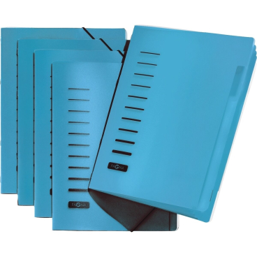 PAGNA Ordnungsmappe, DIN A4, aus PP, 6 Fächer, blau (EAN: 4013951008403)