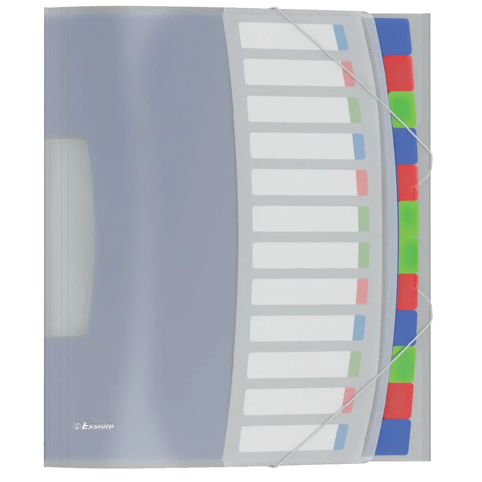 Esselte Ordnungsmappe VIVIDA, A4, PP, 12 Fächer, mehrfarbig (EAN: 4049793028521)