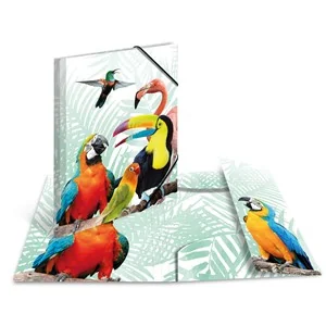HERMA Eckspannermappe Exotische Tiere, A3, Tropendique (EAN: 4008705199681)