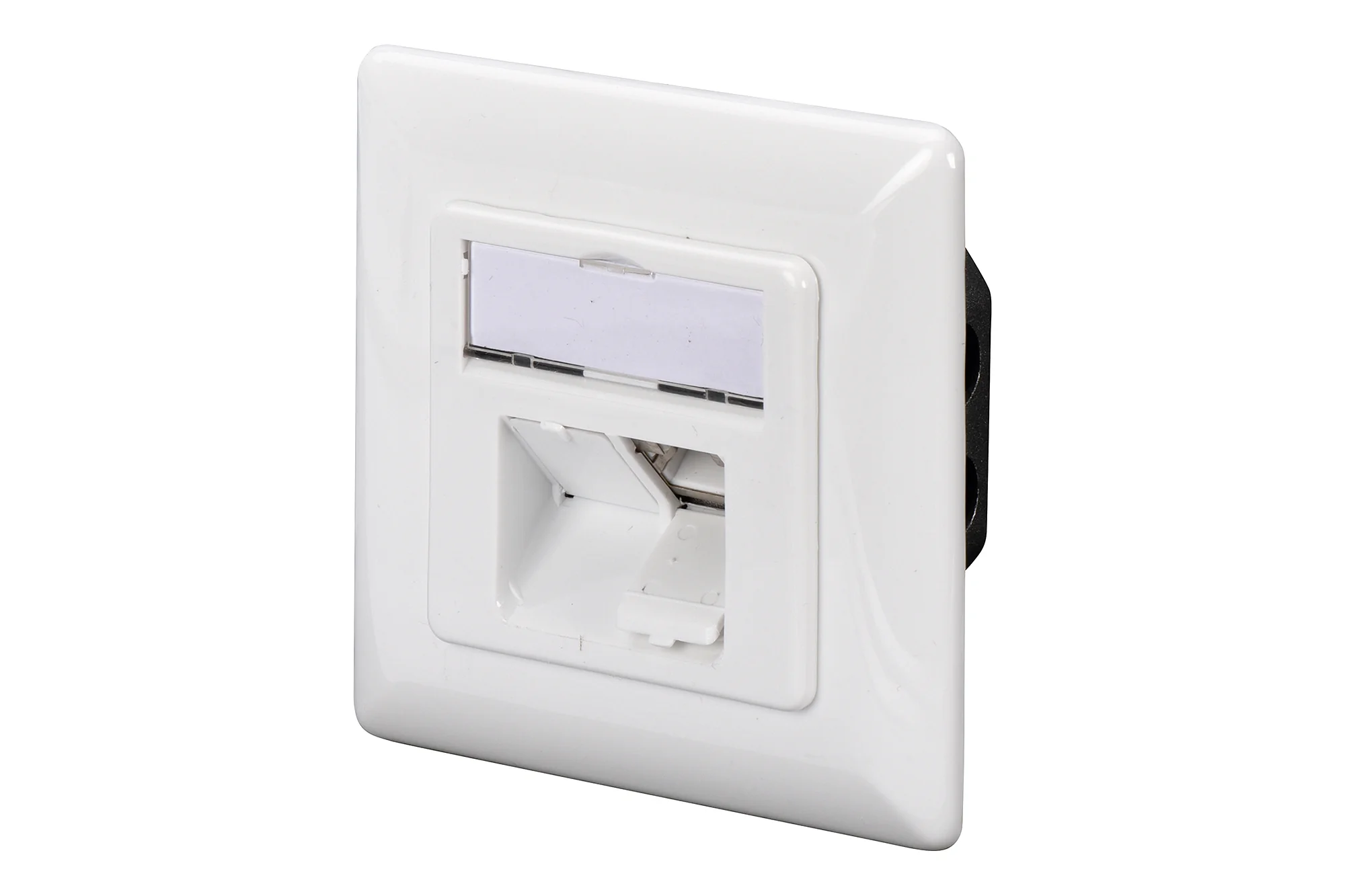 DIGITUS Anschlussdose Kat.6A (tief), 2 x RJ45, geschirmt, reinweiß (RAL 9010) (EAN: 4016032320227)