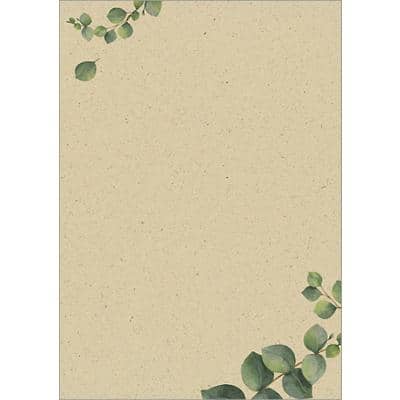 sigel Design-Papier "Eucalyptus", DIN A4, 100 g/qm (EAN: 4004360785436)