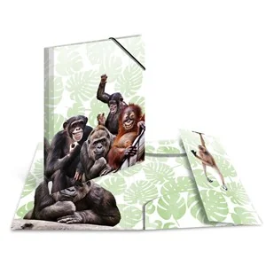 HERMA Eckspannermappe Exotische Tiere, A4, Affenbande (EAN: 4008705199605)