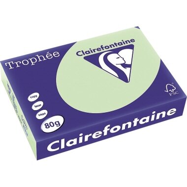 Clairefontaine Multifunktionspapier Trophée, A3, grün (EAN: 3329680189100)