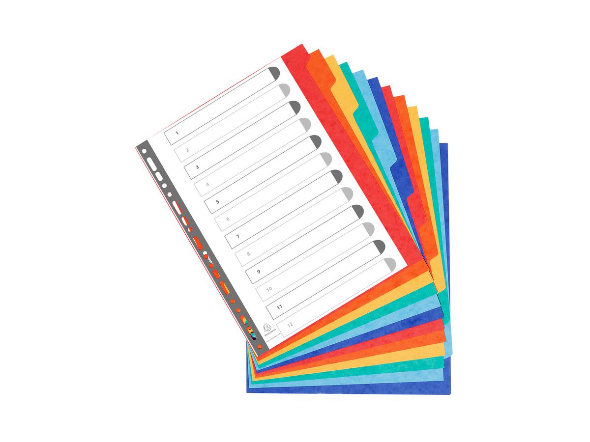 EXACOMPTA Karton-Register, DIN A4+, 12-teilig (EAN: 3130630026129)