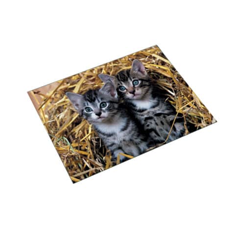 Läufer Schreibunterlage Katzen im Stroh, 400 x 530 mm (EAN: 4006677466374)