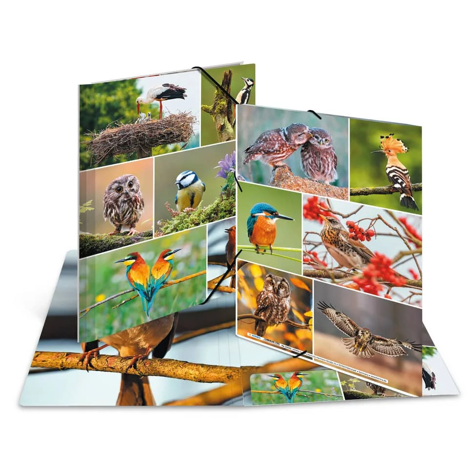 HERMA Eckspannermappe "Heimatvögel", Karton, DIN A4 (EAN: 4008705193450)