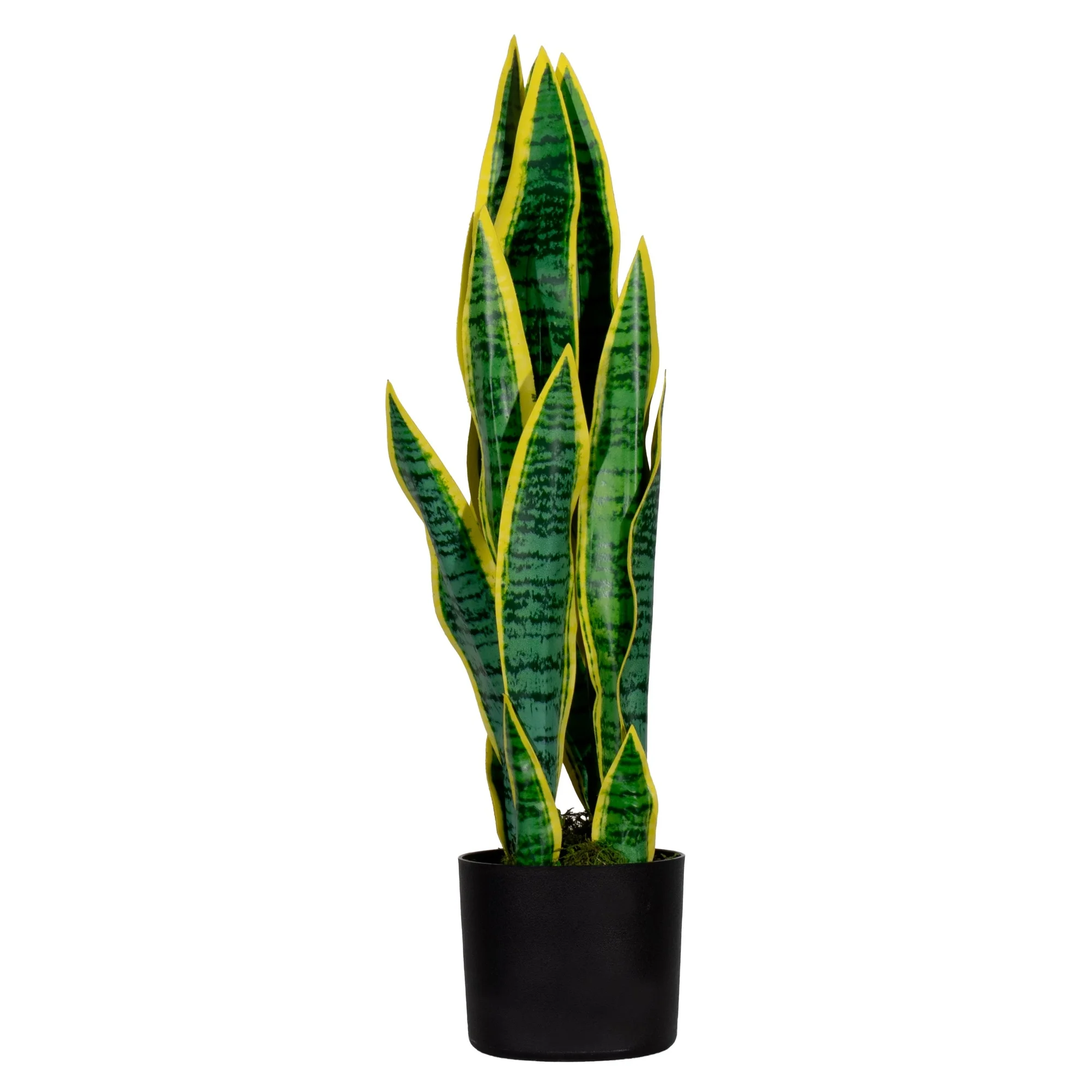 PAPERFLOW Kunstpflanze "Sansevieria", Höhe: 650 mm (EAN: 3660141963496)