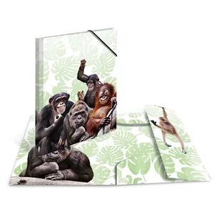 HERMA Eckspannermappe Exotische Tiere, A3, Affenbande (EAN: 4008705199698)