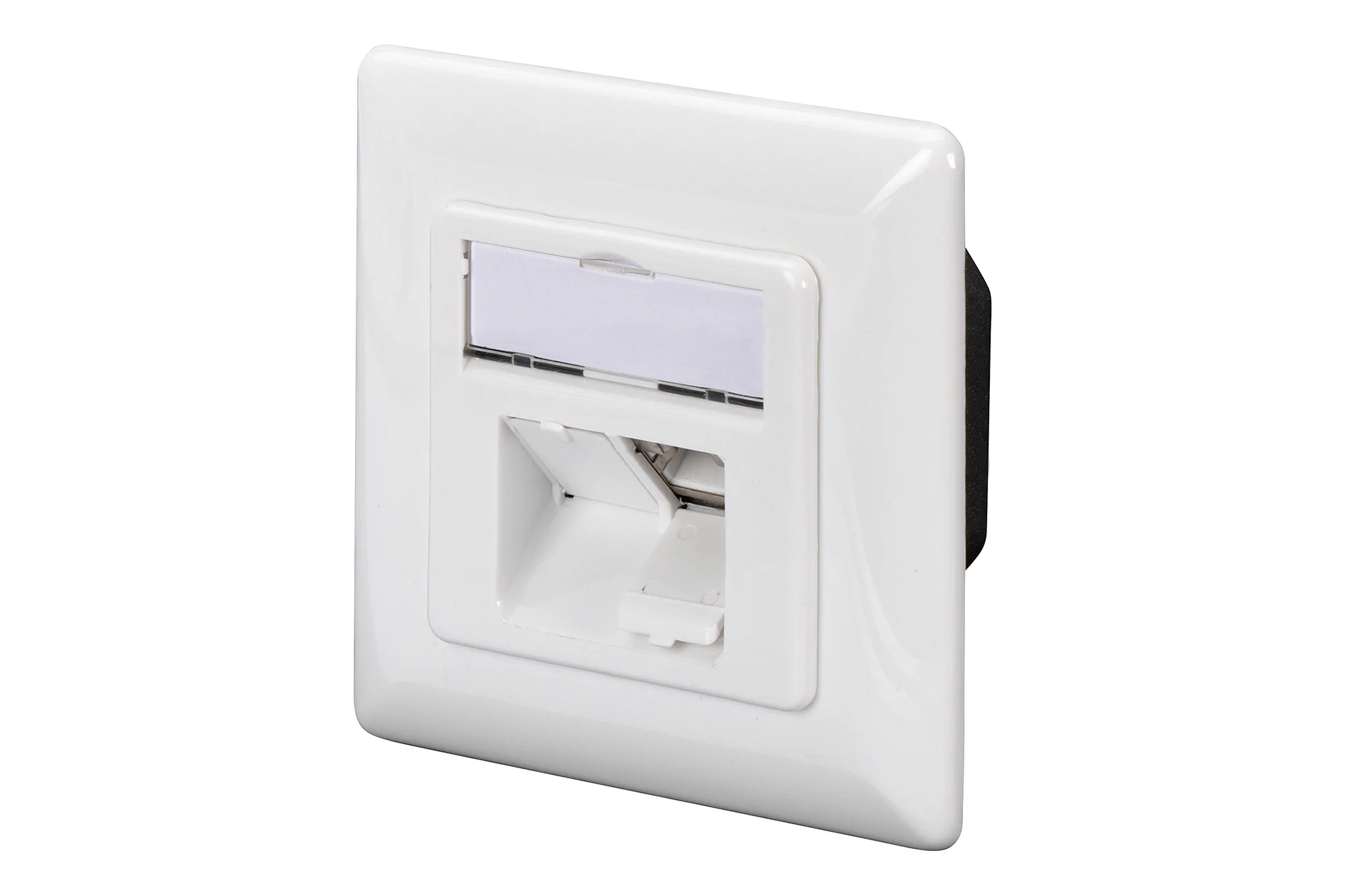 DIGITUS Aufputzdose Kat.6A (tief), 2 x RJ45, geschirmt, reinweiß (RAL 9010) (EAN: 4016032320203)