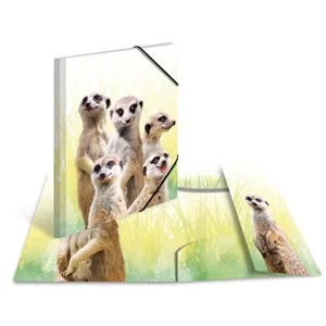 HERMA Eckspannermappe Exotische Tiere, A4, Erdmännchentruppe (EAN: 4008705199612)