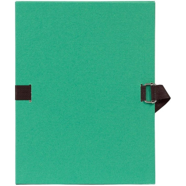 EXACOMPTA Dokumentenmappe, DIN A4, Karton, hellgrün (EAN: 3130630007234)