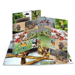 HERMA Eckspannermappe "Heimatvögel", Karton, DIN A3 (EAN: 4008705194556)