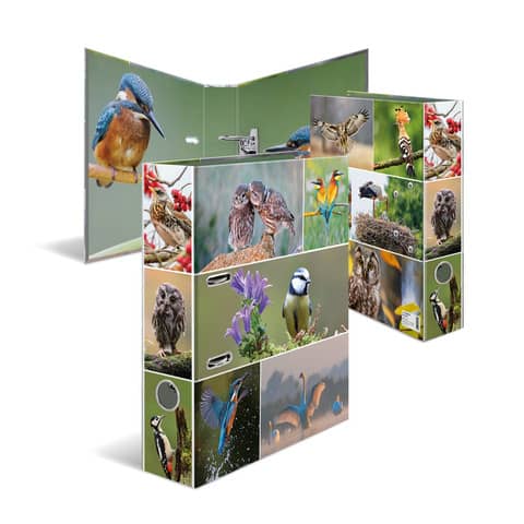HERMA Motivordner "Tierwelten", DIN A4, Heimatvögel (EAN: 4008705192545)