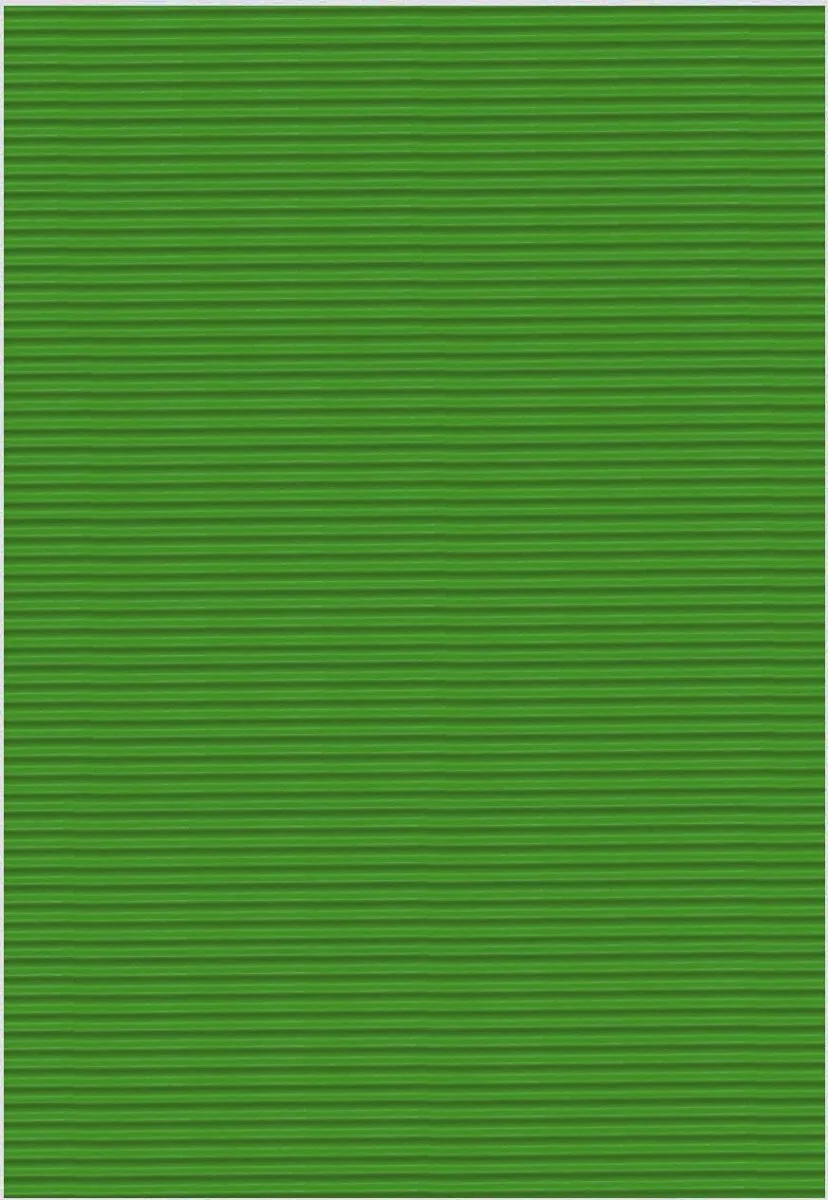 folia Bastelwellkarton, (B)500 x (H)700 mm, grasgrün (EAN: 4001868058499)