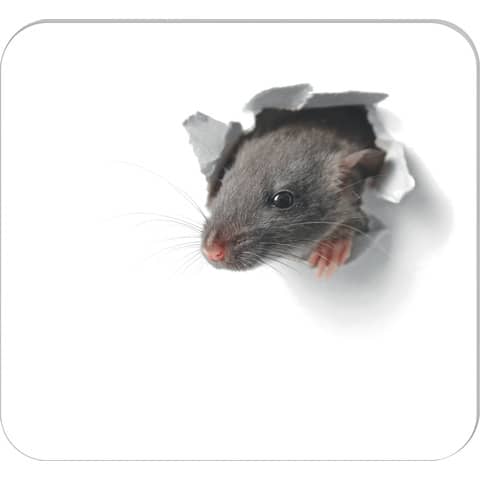 RNK Verlag Mousepad Block "Mausi", 240 x 220 mm, 30 Blatt (EAN: 4002871466547)