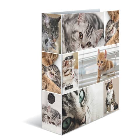 HERMA Motivordner "Animals", DIN A4, Katzen (EAN: 4008705071666)