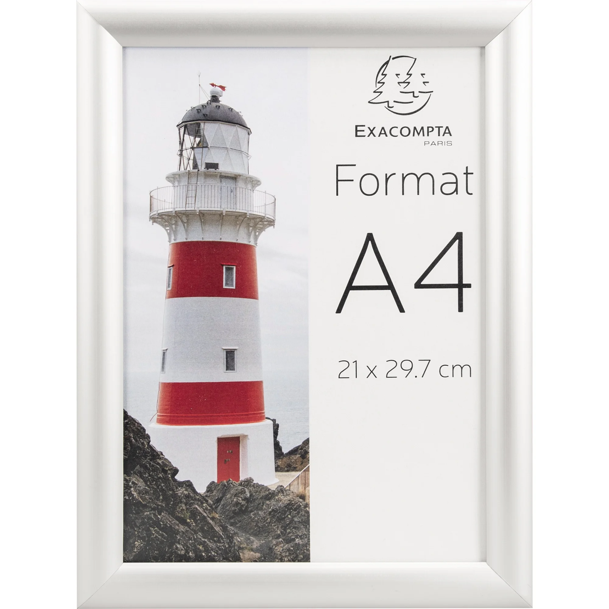 EXACOMPTA Plakatrahmen, DIN A4, silber eloxiert (EAN: 9002493104785)