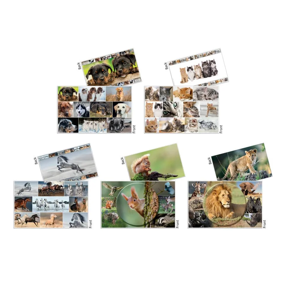 HERMA Schreibunterlage "Afrika Tiere", (B)550 x (H)350 mm (EAN: 4008705196765)